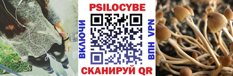 Псилоцибиновые грибы MAGIC MUSHROOMS  Купить закладки  Полтавская 